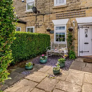 Snowdrop Wetherby